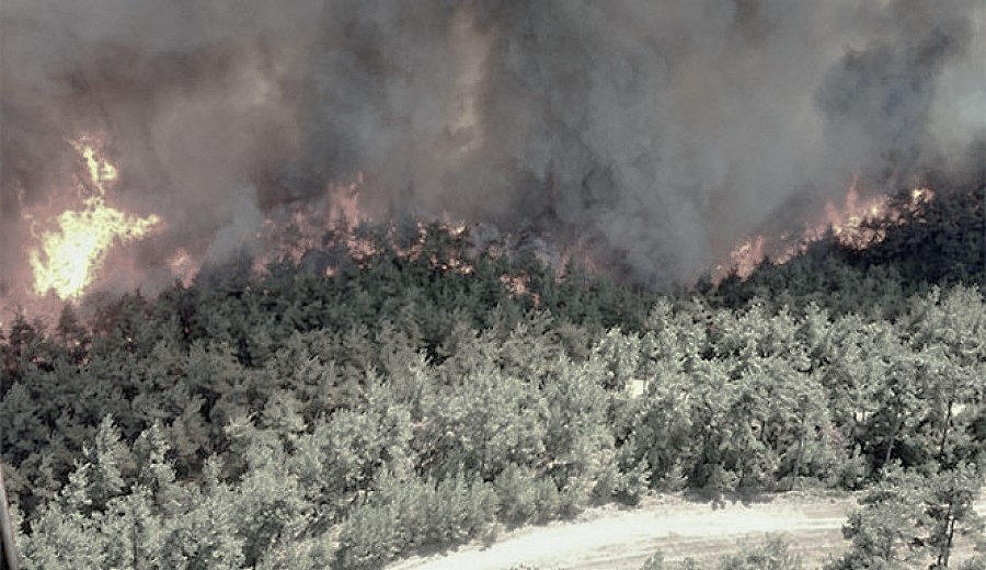 Gelibolu Yarımadası’nda orman yangını: 300 hektara yakın bir alanı kaybettik