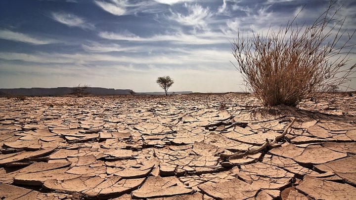 NASA’dan sonra WWF’den Türkiye’ye uyarı: Kuraklık kritik seviyeyi geçti!